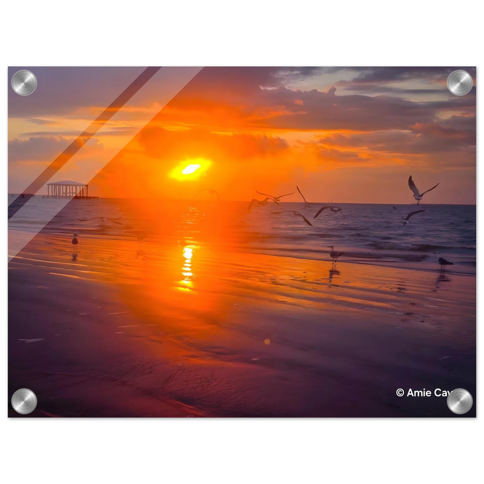 99fa7c54-47a3-4261-b642-5dbb2459956b