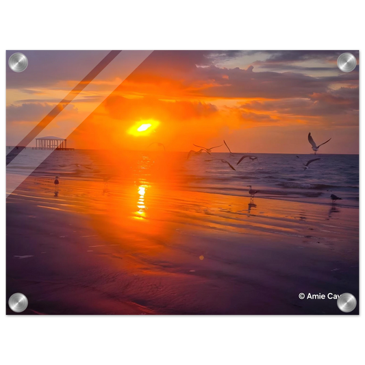 99fa7c54-47a3-4261-b642-5dbb2459956b