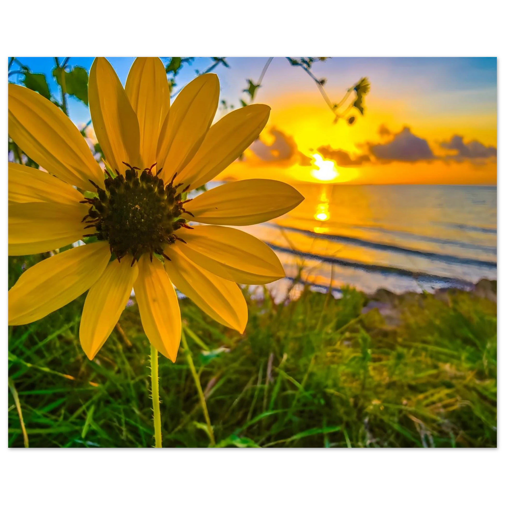 9bbaa8bc-ad90-4afe-8659-b95129b3293f