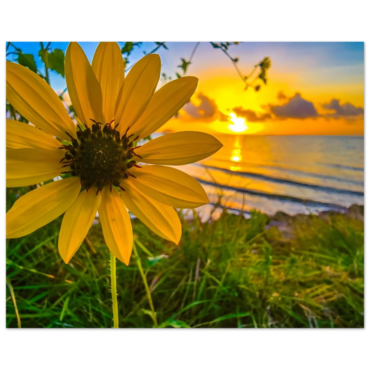 9bbaa8bc-ad90-4afe-8659-b95129b3293f