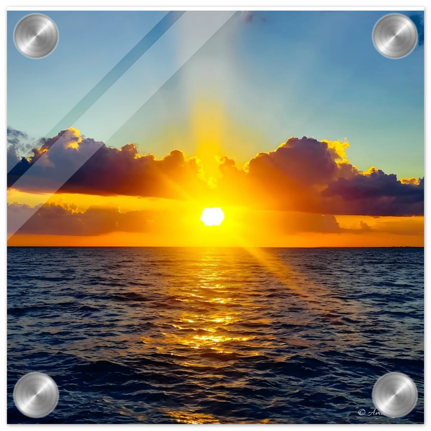 f98722c1-9454-4bd4-a159-7a813a856a2d