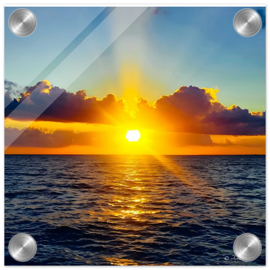 f98722c1-9454-4bd4-a159-7a813a856a2d